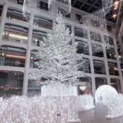 ヒメ日記 2025/11/30 09:32 投稿 あかり ちゃんこ東大阪 布施・長田店