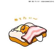 ヒメ日記 2025/12/08 08:34 投稿 あかり ちゃんこ東大阪 布施・長田店