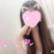 ヒメ日記 2026/04/02 00:07 投稿 あい 東京リップ 渋谷店