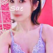 ヒメ日記 2025/02/20 11:03 投稿 さえ 錦糸町ミセスアロマ（ユメオト）