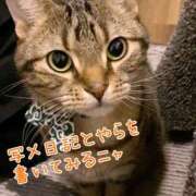 ヒメ日記 2025/07/18 11:00 投稿 さえ 錦糸町ミセスアロマ（ユメオト）