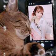 ヒメ日記 2026/02/22 10:30 投稿 さえ 錦糸町ミセスアロマ（ユメオト）