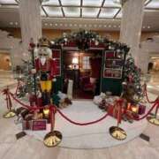 ヒメ日記 2026/01/06 14:00 投稿 ゆうり 奥様特急新潟店