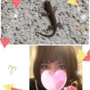 ヒメ日記 2025/09/06 08:34 投稿 みなみ 府中ダービー