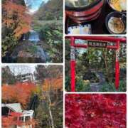 ヒメ日記 2025/11/14 17:53 投稿 みなみ 府中ダービー