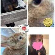 ヒメ日記 2025/11/15 08:43 投稿 みなみ 府中ダービー