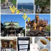 ヒメ日記 2025/11/19 13:33 投稿 みなみ 府中ダービー