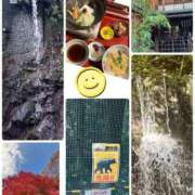 ヒメ日記 2025/11/23 08:43 投稿 みなみ 府中ダービー