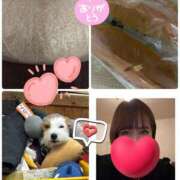 ヒメ日記 2025/11/24 20:13 投稿 みなみ 府中ダービー