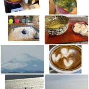 ヒメ日記 2026/01/27 17:33 投稿 みなみ 府中ダービー