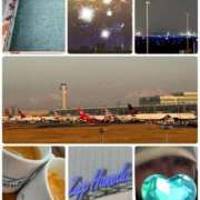 ヒメ日記 2026/02/19 11:53 投稿 みなみ 府中ダービー