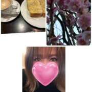 ヒメ日記 2026/02/22 08:28 投稿 みなみ 府中ダービー