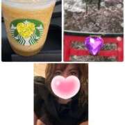 ヒメ日記 2026/03/27 08:58 投稿 みなみ 府中ダービー