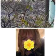 ヒメ日記 2026/03/28 08:28 投稿 みなみ 府中ダービー