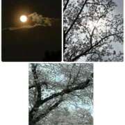 ヒメ日記 2026/04/02 19:48 投稿 みなみ 府中ダービー