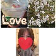 ヒメ日記 2026/04/03 08:58 投稿 みなみ 府中ダービー