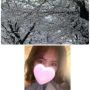 ヒメ日記 2026/04/04 08:48 投稿 みなみ 府中ダービー