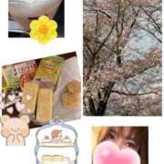 ヒメ日記 2026/04/06 08:58 投稿 みなみ 府中ダービー