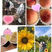 ヒメ日記 2026/07/12 08:18 投稿 みなみ 府中ダービー