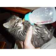 ヒメ日記 2025/04/29 12:48 投稿 れんか 完熟ピーチ