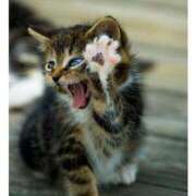 ヒメ日記 2025/05/03 08:47 投稿 れんか 完熟ピーチ