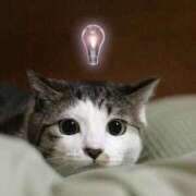 ヒメ日記 2026/01/13 19:00 投稿 れんか 完熟ピーチ