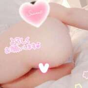 ヒメ日記 2025/03/29 12:18 投稿 はなさき 厚木人妻城