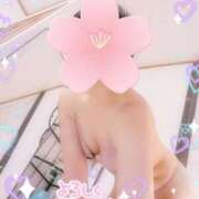 ヒメ日記 2025/07/29 11:01 投稿 はなさき 厚木人妻城