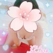 ヒメ日記 2025/08/05 11:33 投稿 はなさき 厚木人妻城