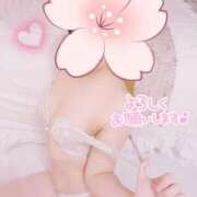 ヒメ日記 2025/10/12 12:11 投稿 はなさき 厚木人妻城