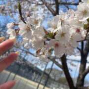 ヒメ日記 2025/04/05 15:00 投稿 ユヅキ リッチドールなんば店