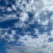 ヒメ日記 2025/09/30 08:53 投稿 ナナ 府中ダービー