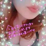 ヒメ日記 2025/12/26 23:53 投稿 ナナ 府中ダービー