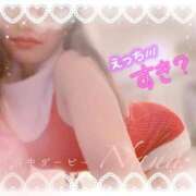 ヒメ日記 2026/08/29 08:58 投稿 ナナ 府中ダービー