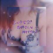 ヒメ日記 2026/09/28 18:18 投稿 ナナ 府中ダービー