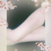 ヒメ日記 2026/04/01 00:34 投稿 らん 完熟ばなな千葉店