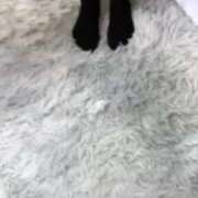 ヒメ日記 2025/07/23 15:48 投稿 ほの ときめき青春ロリ学園～東京乙女組 池袋校