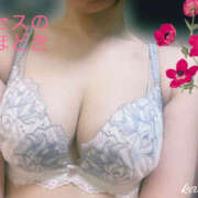 ヒメ日記 2025/05/18 14:59 投稿 金子 ミセスの手ほどき