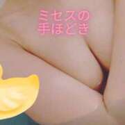 ヒメ日記 2025/05/31 13:23 投稿 金子 ミセスの手ほどき