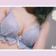 ヒメ日記 2025/08/21 15:49 投稿 金子 ミセスの手ほどき