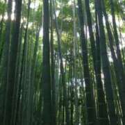 ヒメ日記 2025/12/31 22:21 投稿 金子 ミセスの手ほどき