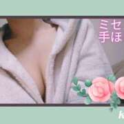 金子 まだ半袖です ミセスの手ほどき