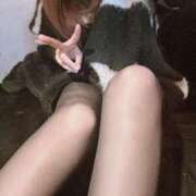 ヒメ日記 2025/02/16 00:19 投稿 【まお】 バブルリングプラス