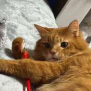 ヒメ日記 2024/12/11 13:08 投稿 ひなの 成田富里インターちゃんこ