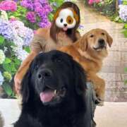 ヒメ日記 2025/06/16 14:48 投稿 ひなの 成田富里インターちゃんこ