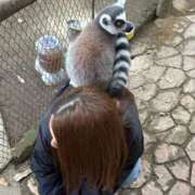 ヒメ日記 2025/11/22 19:58 投稿 ひなの 成田富里インターちゃんこ