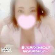 ヒメ日記 2025/02/20 14:02 投稿 白川奈緒 五十路マダムエクスプレス豊橋店（カサブランカグループ）