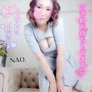 ヒメ日記 2026/03/08 12:04 投稿 白川奈緒 五十路マダムエクスプレス豊橋店（カサブランカグループ）