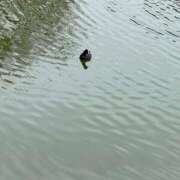 ヒメ日記 2025/03/29 16:20 投稿 柳田 久留米デリヘルセンター