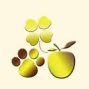 ヒメ日記 2025/05/12 17:23 投稿 柳田 久留米デリヘルセンター